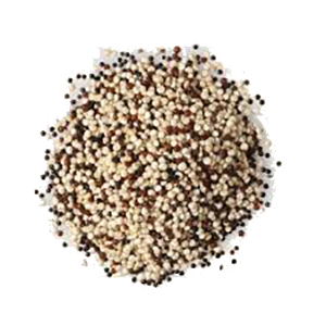 Quinoa Tricolor Orgánica Somos Colmena